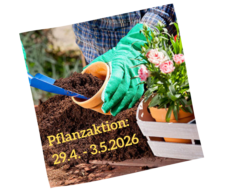 Pflanzaktion