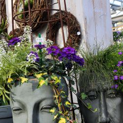 Kreative-Pflanzgefaesse-Wolfsburg